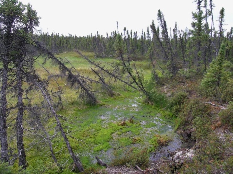 Permafrost warming at a global scale - Department of Physical Geography